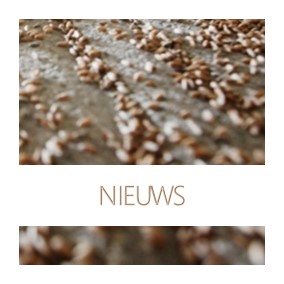 NL Het begint bij mensen